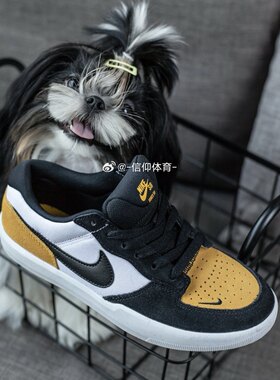 Nike SB Force 58耐克男女复古低帮情侣防滑耐磨休闲滑板鞋DV5477