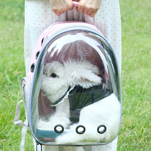 兔子外出包带厕所背包大容量轻便