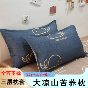 荞麦枕头成人学生儿童枕头大凉山纯苦荞麦皮全荞壳枕芯家用颈椎枕