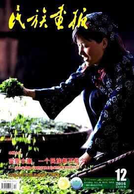【2026年订阅 6月份起订】民族画报(维文版)杂志 全年12期订阅，正版出售