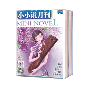 【2026年订阅 5月份起订】小小说月刊杂志 全年24期订阅，正版出售