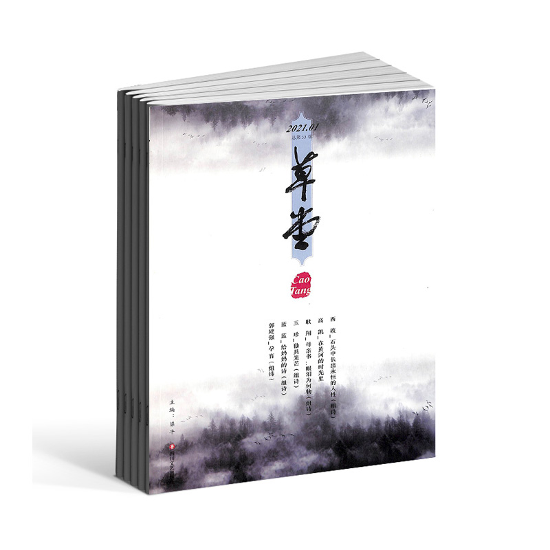 2025年草堂杂志全年12期订阅