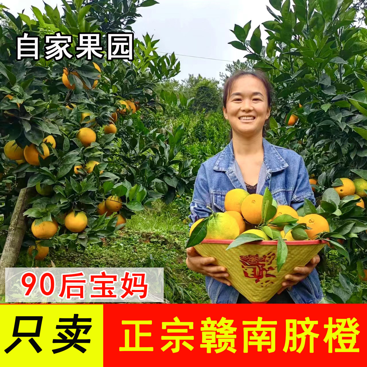 赣州自家果园赣南脐橙现摘现发