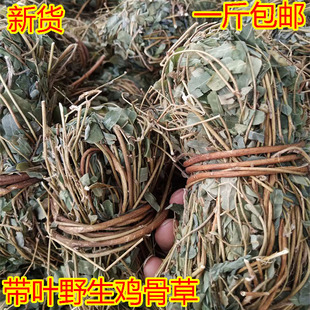 广西野生鸡骨草农家带叶鸡骨草茶包益肝草清热除湿广东汤料500g克