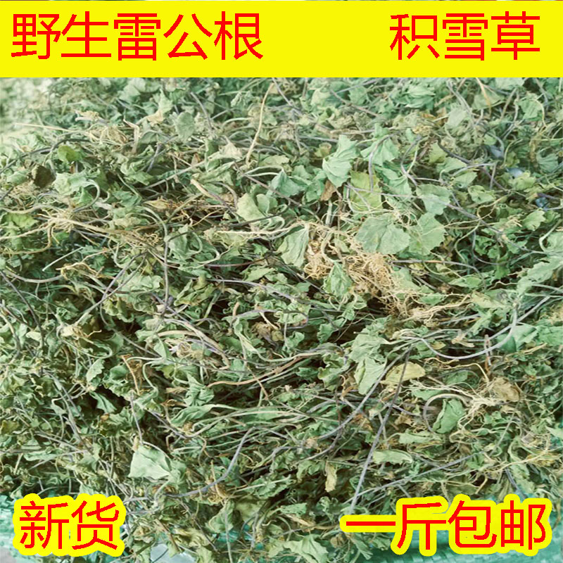 新鲜晒干中草药野生雷公根崩大碗野生积雪草500克包邮