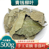 青钱柳叶 金钱柳 中药材野生纯古树金钱柳茶青钱柳500克青钱柳茶