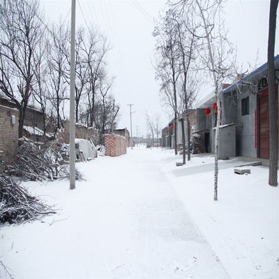 农村雪景外景直播背景布