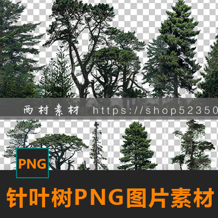 针叶树免抠png图片树簇树木cg绘画参考ps合成素材matte painting