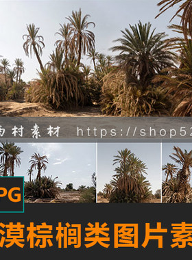沙漠棕榈灌木沙土干旱环境CG绘画参考PS场景素材matte painting