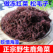 珍稀海藻南澳赤菜红菜鹿角菜 做冻福安松毛子杂菜海藻菜