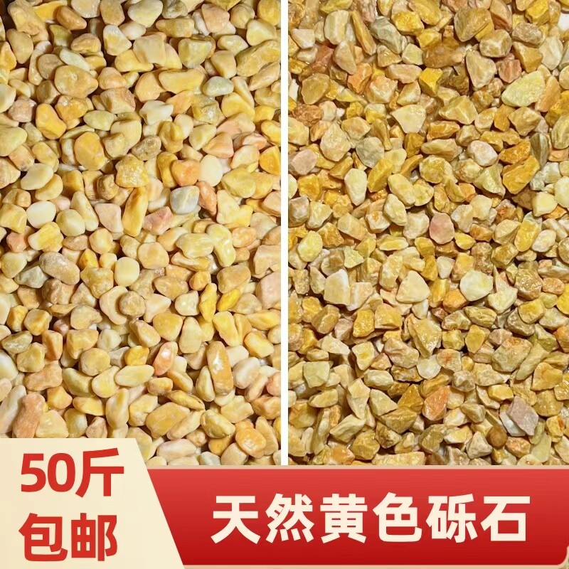 黄色石子铺地胶粘石水洗米石枯山水石子造景装饰小天然水磨石石子