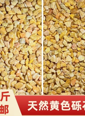 黄色石子铺地胶粘石水洗米石枯山水石子造景装饰小天然水磨石石子