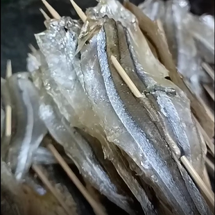 精选完整11-13米烧烤小马步鱼干棒鱼针鱼韩 式烤肉摆盘饭店串专用