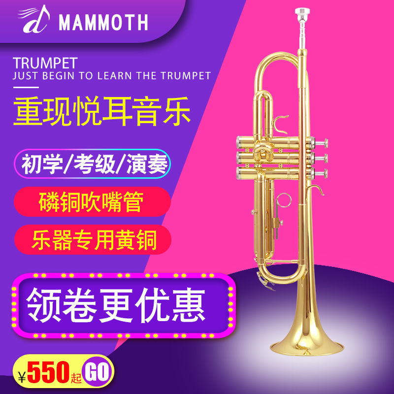 ÃÍáïÏóÁ×͹ÜСºÅÀÖÆ÷½µBµ÷СºÅ»ÆÍÆá½ð͹ÜÀÖÆ÷³õѧ¿¼¼¶ÑÝ×à