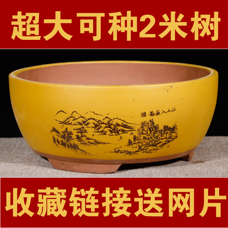 蝴蝶兰多肉菖蒲花盆景盆陶瓷花盆