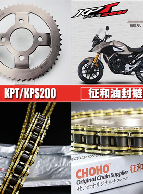 力帆KPT/KPS200/LF200-10R/L征和油封链条链盘套装大小飞链轮套链