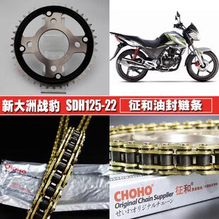 新大洲战豹SDH150 提速大小齿轮链轮套链 22征和油封链条链盘套装