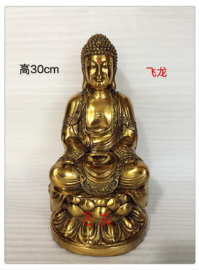 飞龙纯铜释迦摩牟尼如来佛祖像药师佛佛像铜像家居摆件