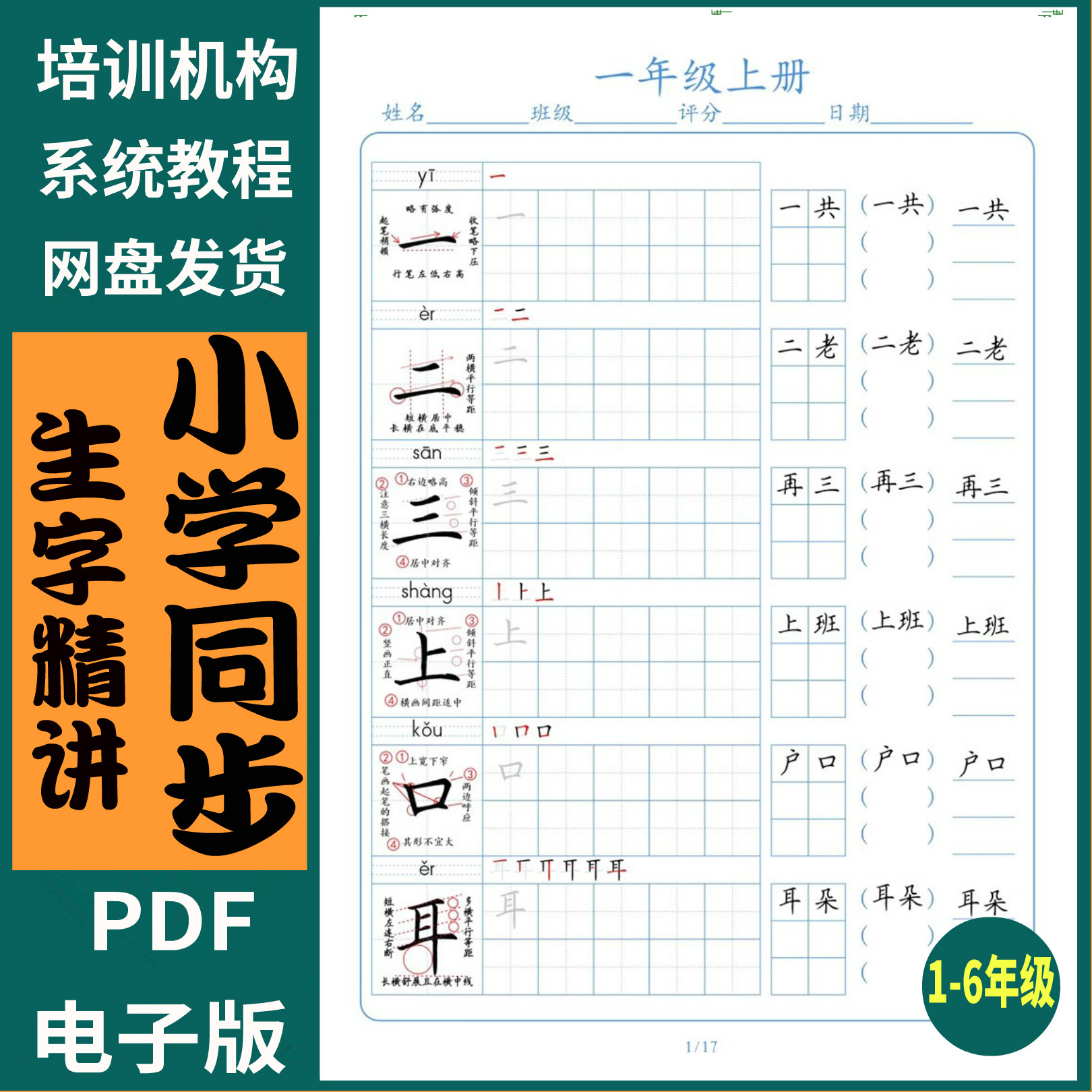508硬笔书法字帖2024小学一二三四五六年级同步生字词语精讲解析