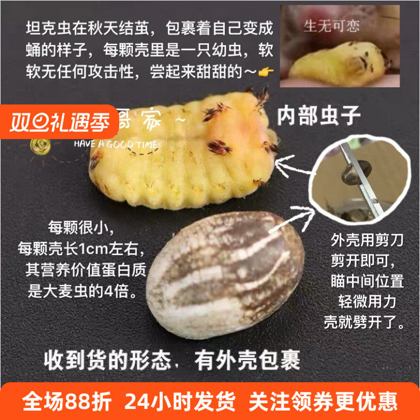 高蛋白长胖增肥坦克幼体仓鼠零食