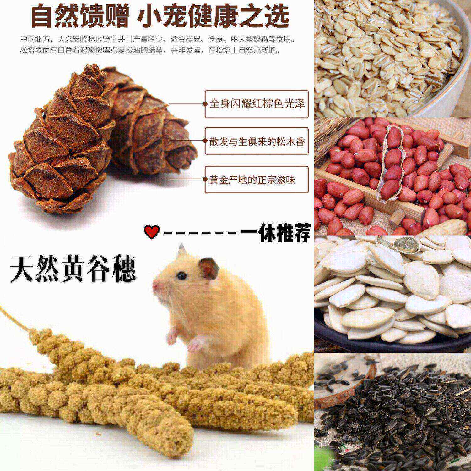 黄谷穗小松塔白瓜子红衣花生躺手逗趣零食仓鼠零食金丝熊沙鼠花枝