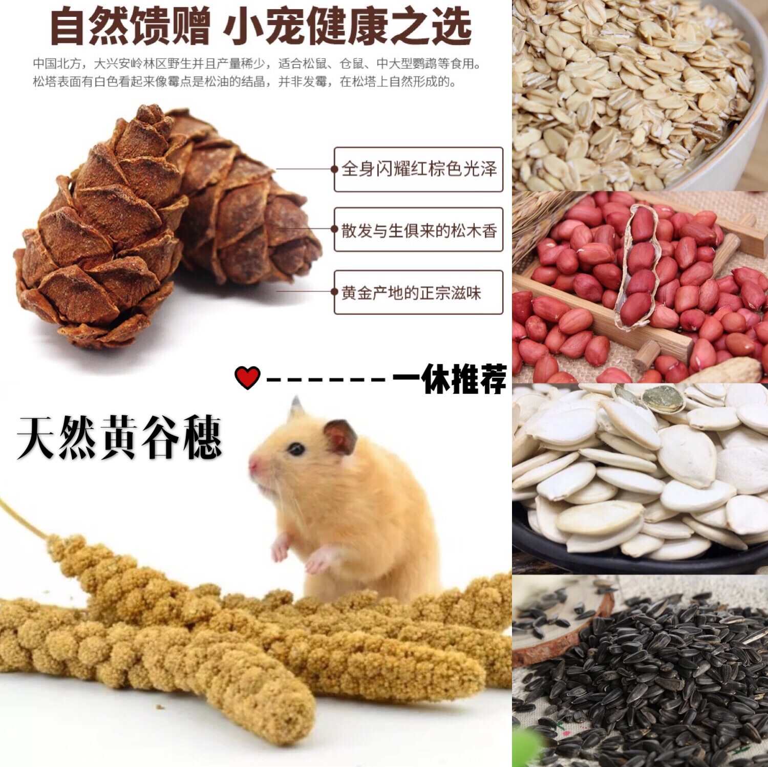 黄谷穗小松塔白瓜子红衣花生躺手逗趣零食仓鼠零食金丝熊沙鼠花枝