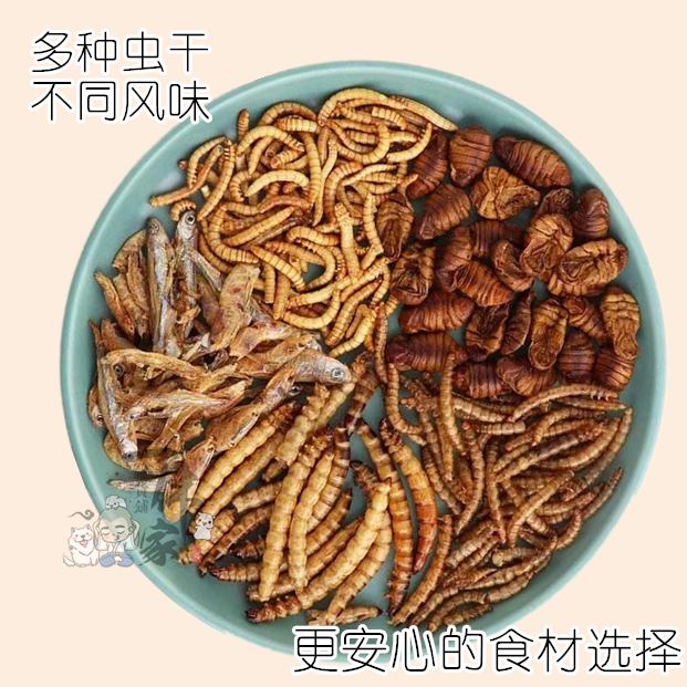 花枝面包虫小鱼蛋白补充仓鼠零食
