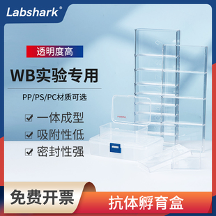 Labshark抗体孵育盒wb孵育盒western blot免疫组化湿盒抗体收纳盒