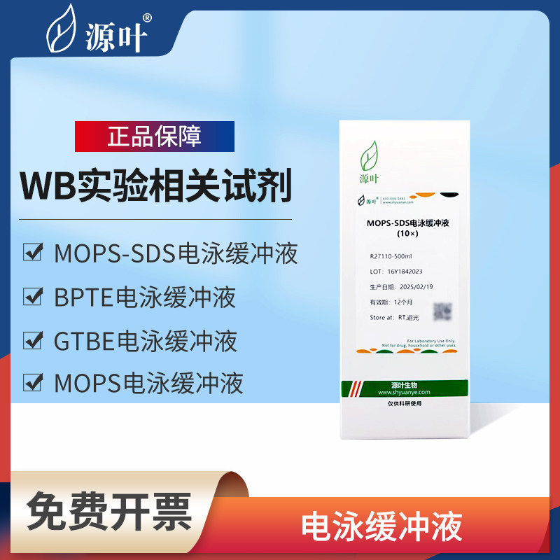源叶MOPS蛋白凝胶电泳缓冲液