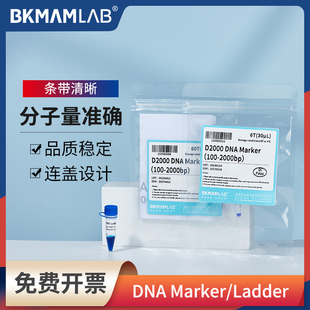 比克曼生物DNA Ladder核酸电泳实验三色预染蛋白源叶试剂 Marker