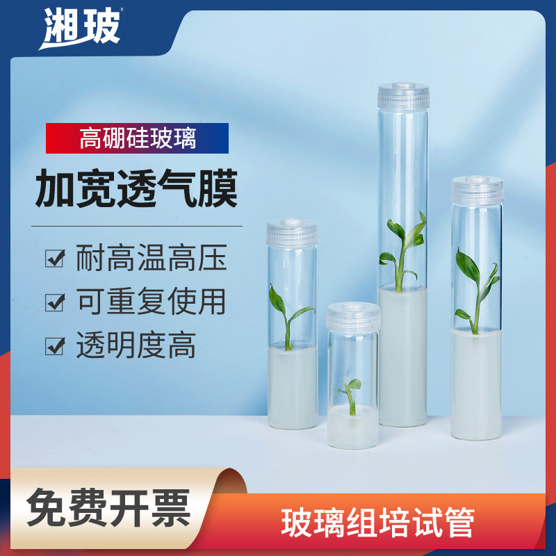 玻璃组培试管无菌透气盖耐高温初代植物组织食用菌种瓶虫草育苗瓶