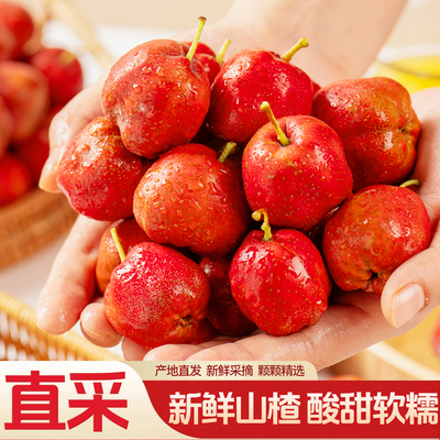 新鲜山楂坏果包赔人工挑选