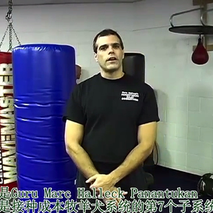 Halleck菲律宾Panantukan Silat脏拳街头防卫近身徒手格斗教程