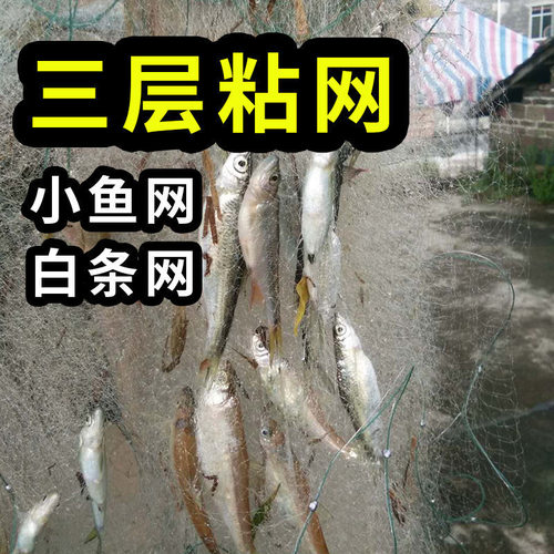 鱼网三层白条加重弧月