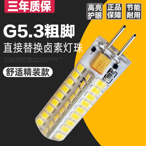 粗脚插泡家用3wled低压220v灯珠