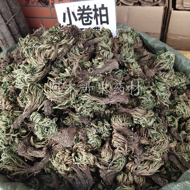 卷柏 500克包邮 中药材 九