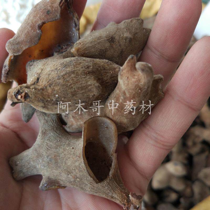 五倍子 500克包邮  角倍 肚倍 百虫仓百药煎棓子正品五倍子可磨粉