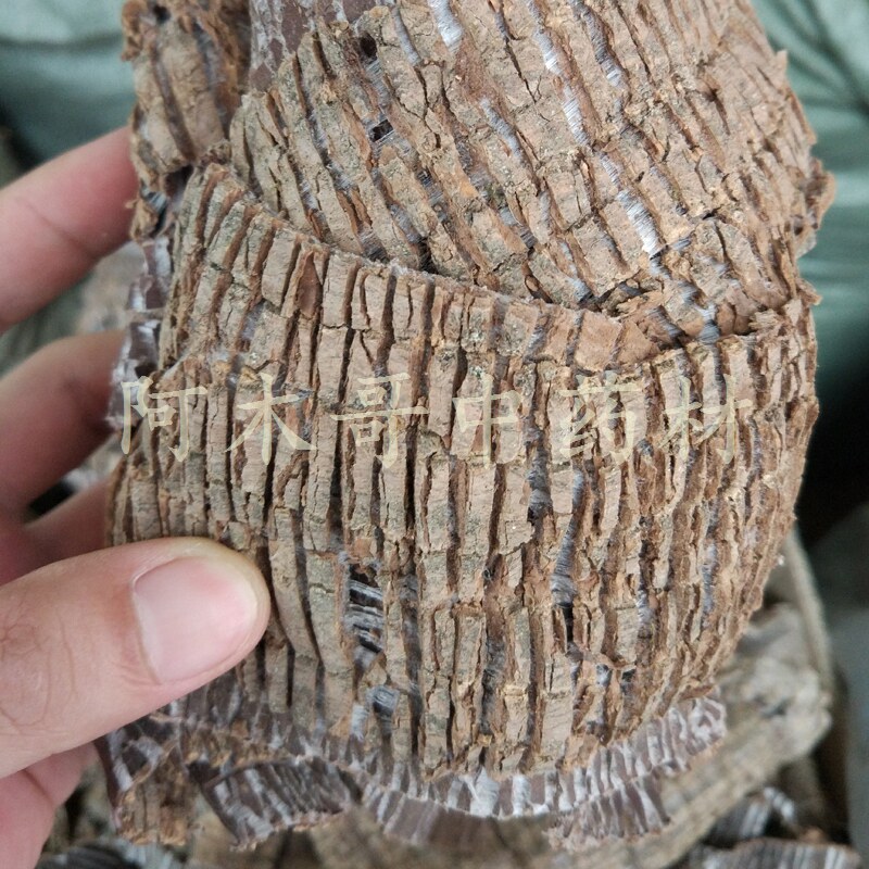 杜仲 野生中药材 杜仲皮 老树杜仲
