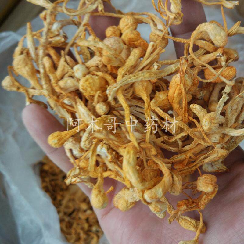 正品虫草花干货500g 包邮 1斤孢子头滋补 金虫草子实体