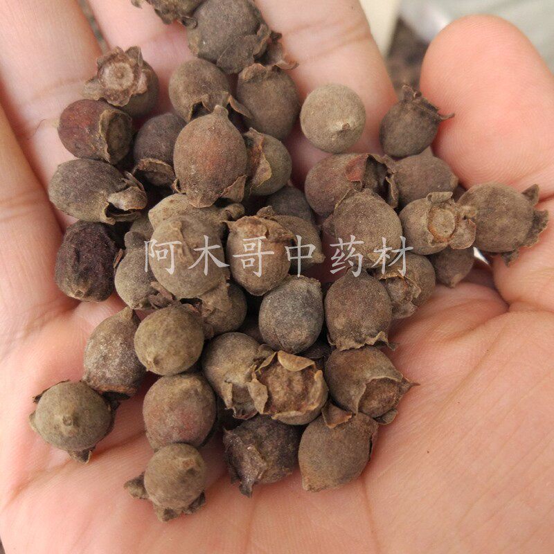 山稔子 500克包邮 山稔果 桃金娘果 岗稔籽 岗捻子 岗稔仔