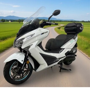 光阳KYMCO赛艇300春风CT250摩托车改装尾箱软大皮靠背哈雷后备箱