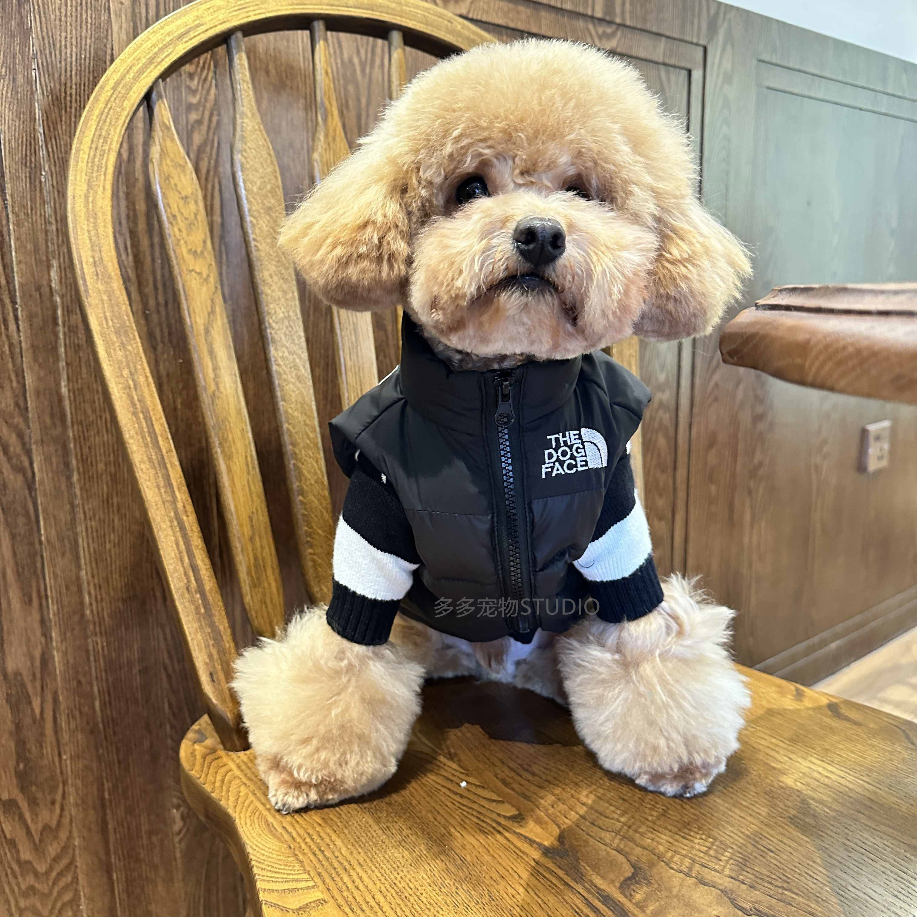 秋冬季潮牌宠物小狗狗衣服棉马甲雪纳瑞柯基泰迪比熊法斗博美棉服
