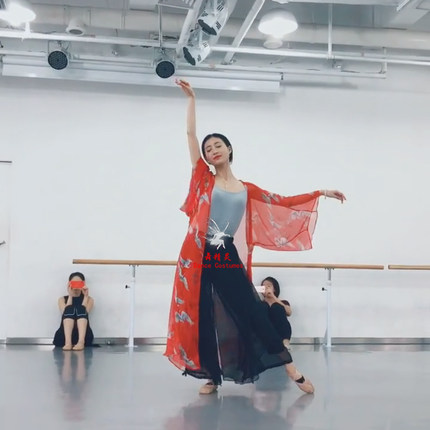 古典舞练功服抖音同款仙鹤舞蹈纱衣长款飘逸外披开衫中国风艺考服