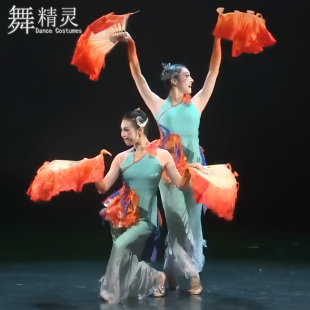 古典舞山东秧歌飘逸扇子舞剧目林鸟趣话舞蹈服双人舞艺考演出服女