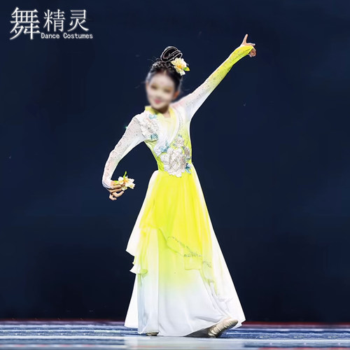 魏紫姚黄舞蹈服古典舞艺考服飘逸