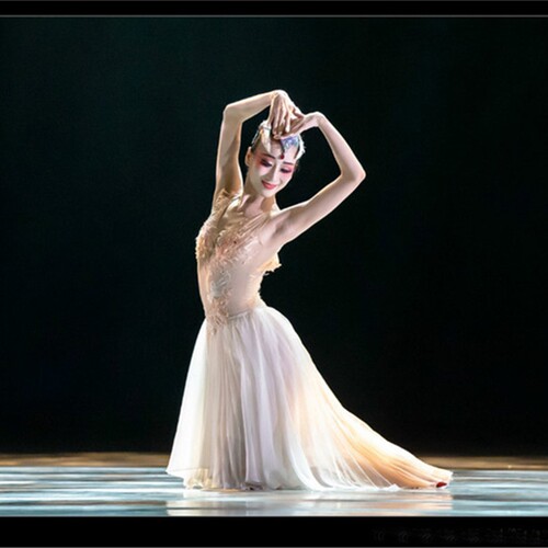 朱洁静纹身销量排行榜 朱洁静纹身品牌热度排名 小麦优选