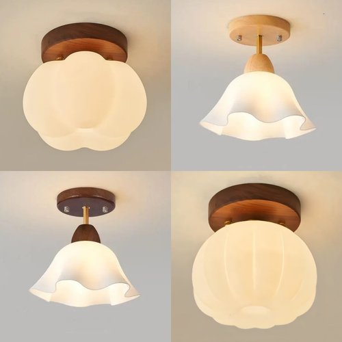 过道入户吸顶灯新款上市历史底价