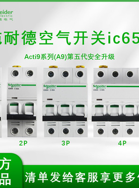施耐德IC65N空气开关断路器A9第五代总闸漏电保护1P+N2P3P4PC63A