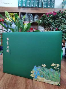 宁夏中宁枸杞芽尖茶 茶叶 不含茶叶碱养生茶 一款可以吃的保健茶