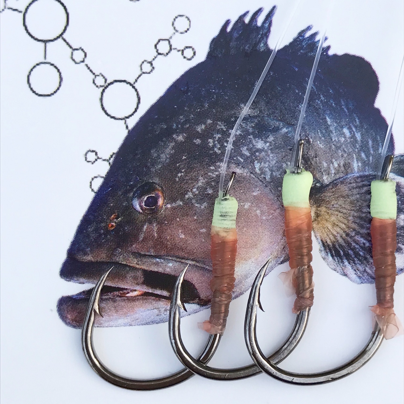 禧诺亚海钓仕挂进口碳线钓组深海近海钓石斑黄鸡腊鱼鲳鱼底钓串钩